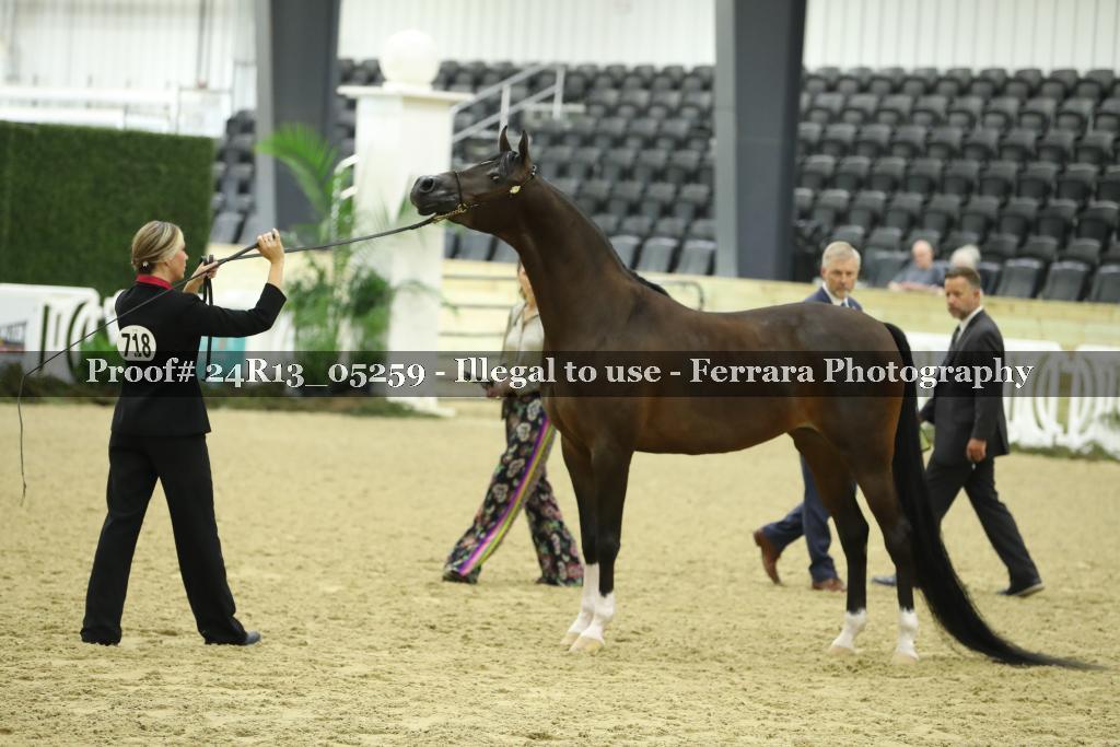 Proof 24R13_05259