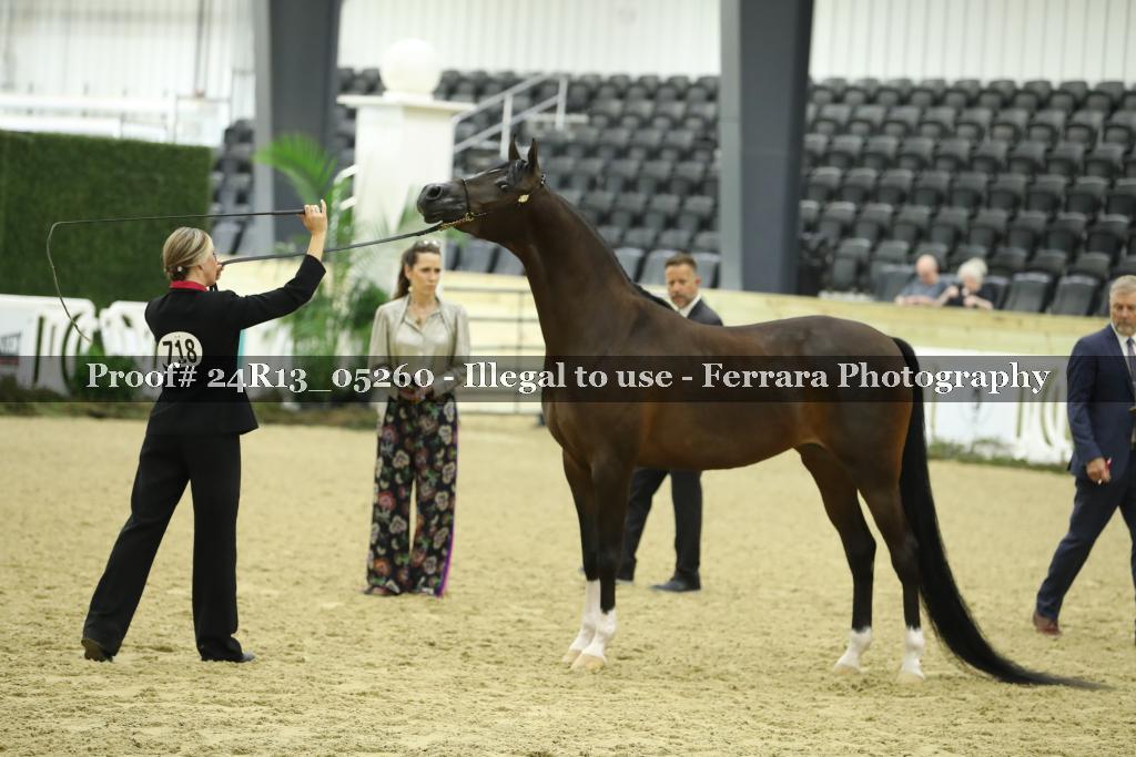 Proof 24R13_05260