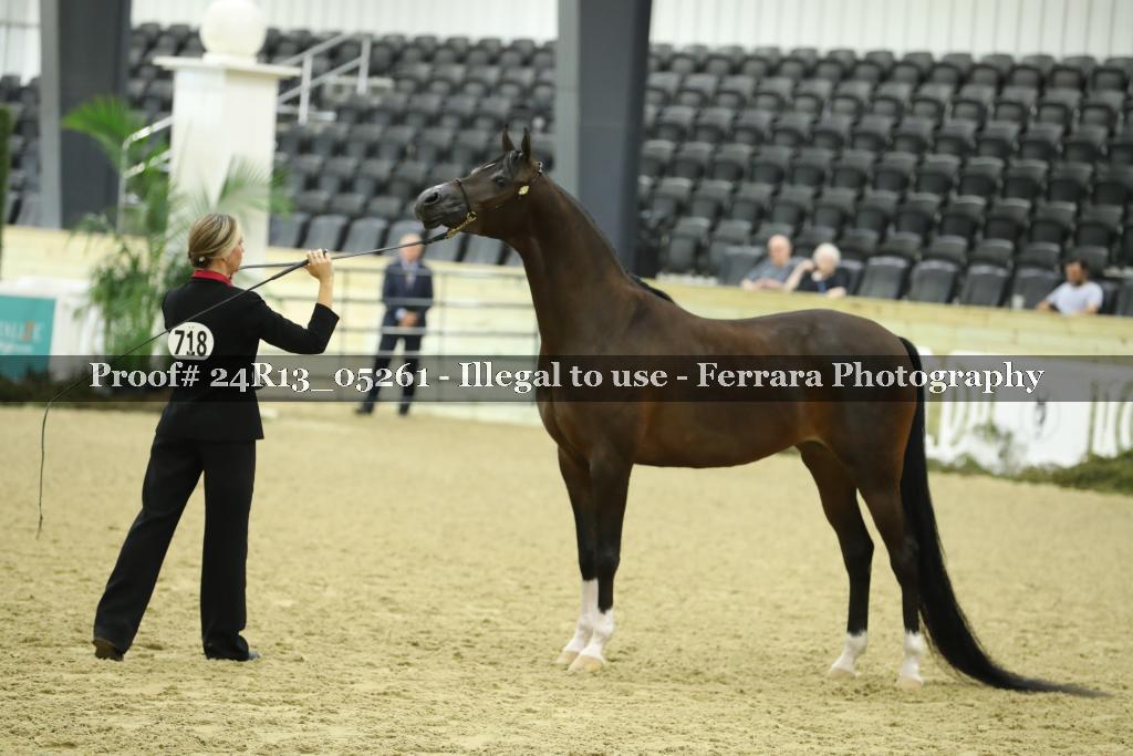 Proof 24R13_05261