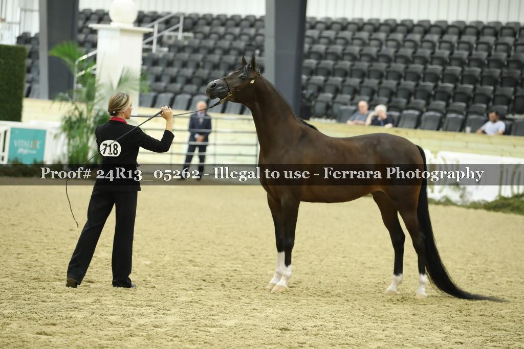 Proof 24R13_05262