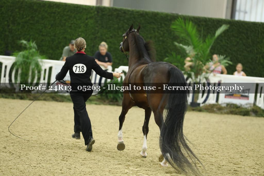 Proof 24R13_05263
