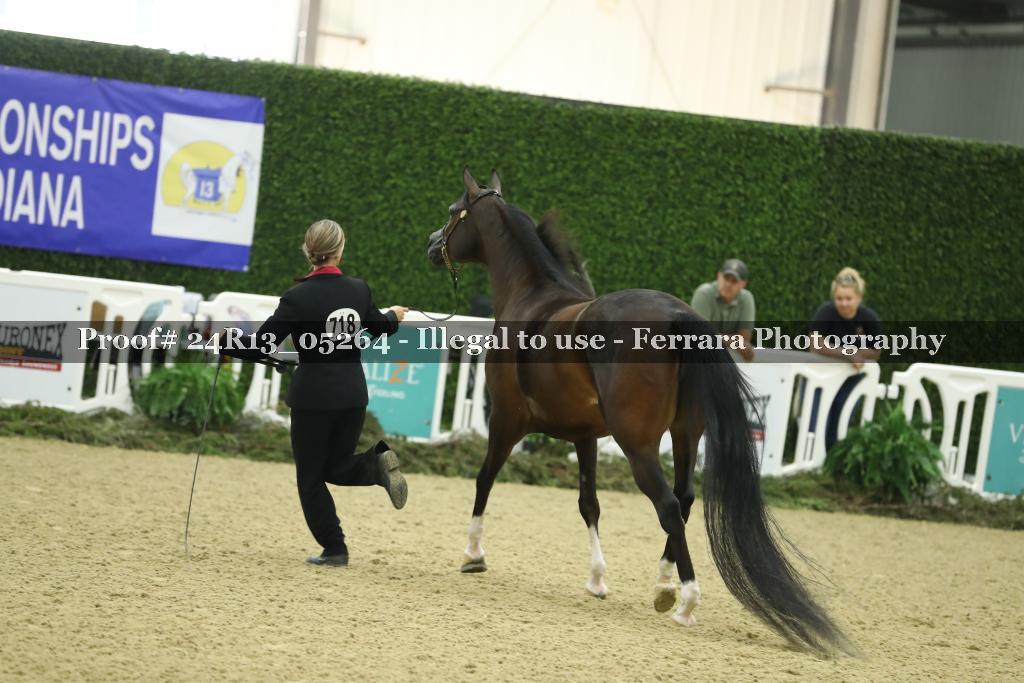Proof 24R13_05264