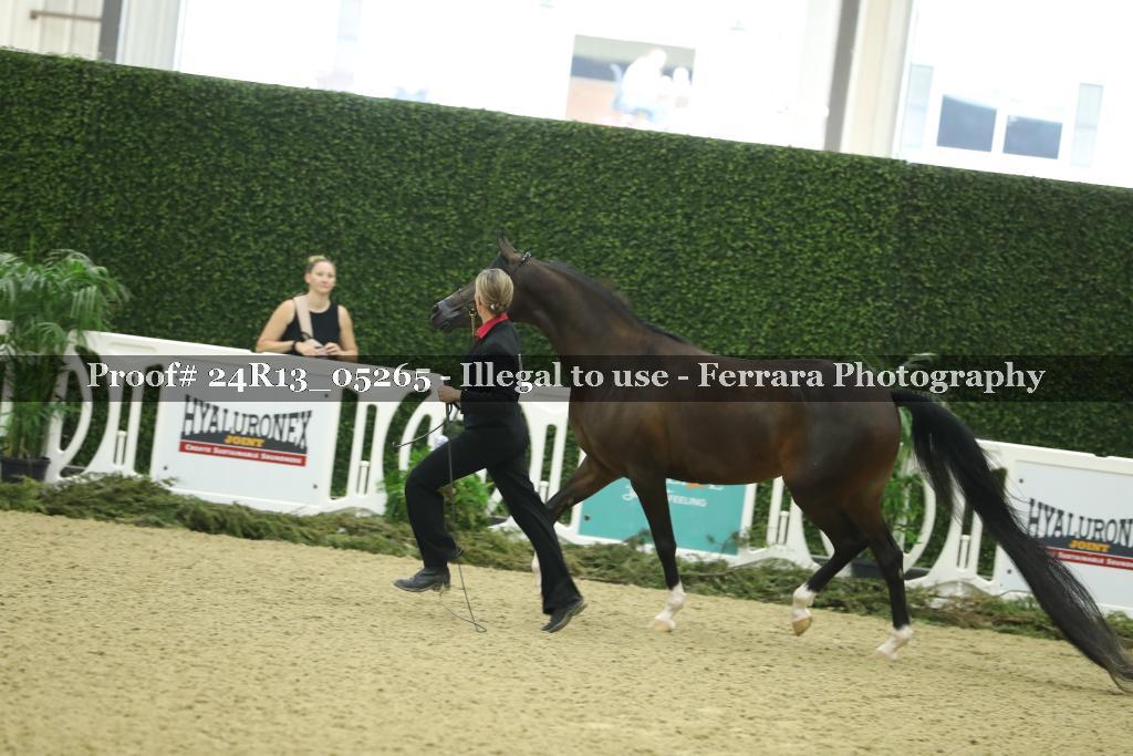 Proof 24R13_05265