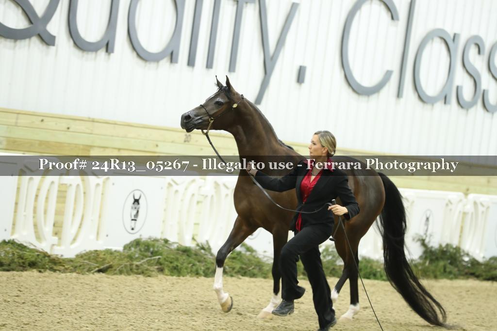 Proof 24R13_05267