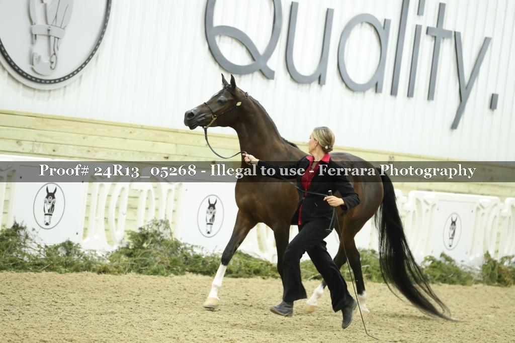 Proof 24R13_05268