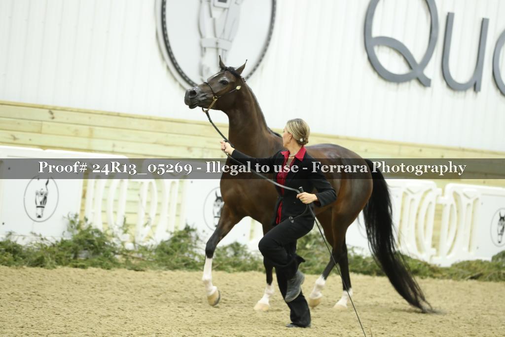 Proof 24R13_05269