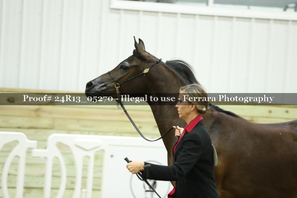 Proof 24R13_05270