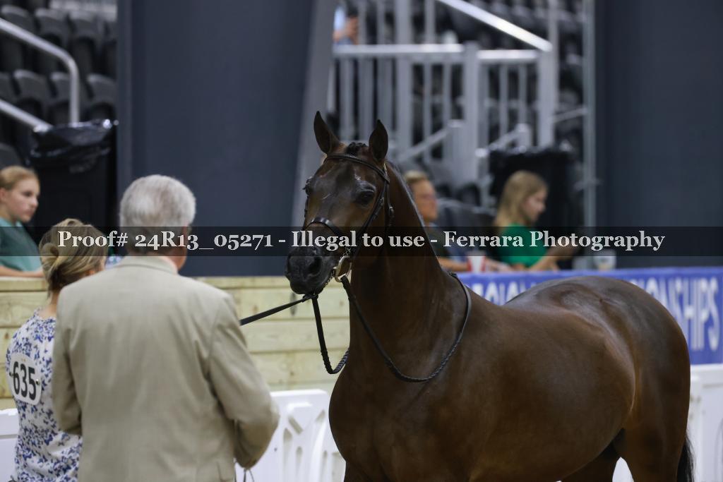 Proof 24R13_05271