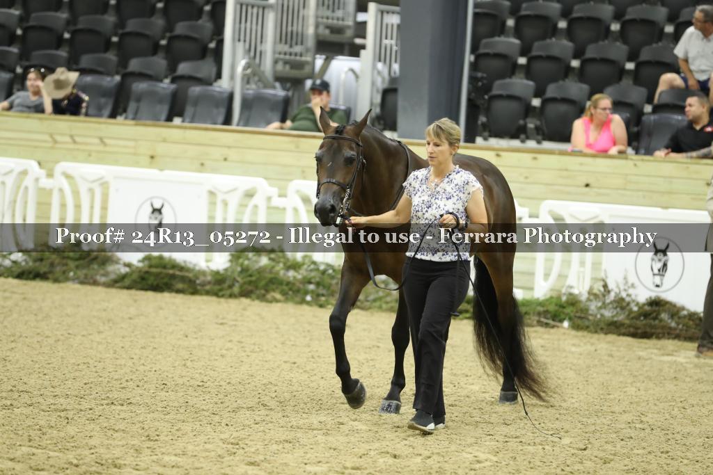 Proof 24R13_05272