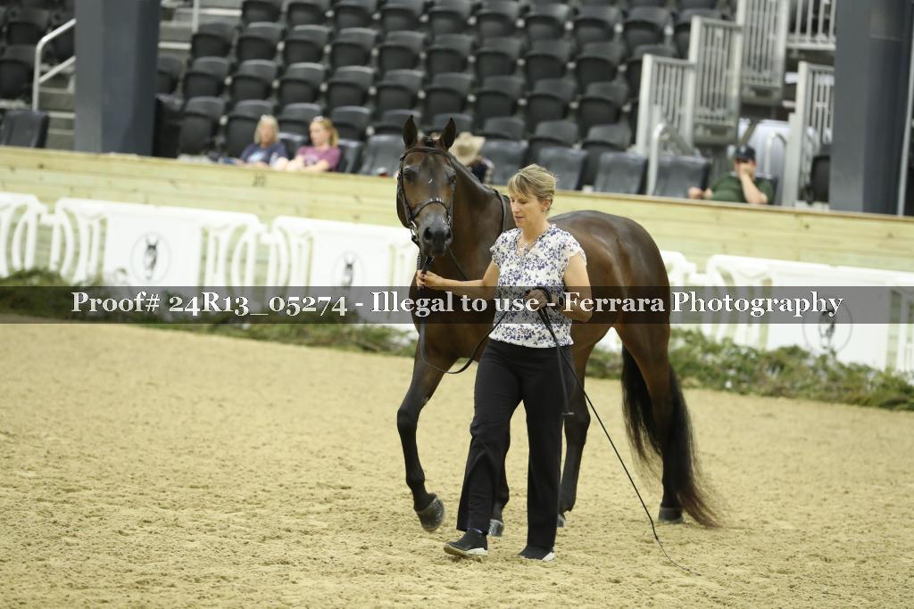 Proof 24R13_05274