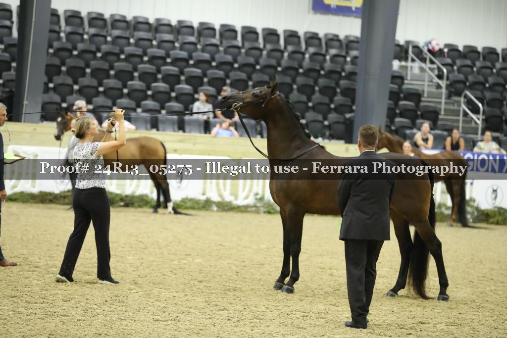 Proof 24R13_05275