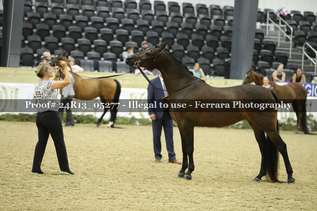 Proof 24R13_05277