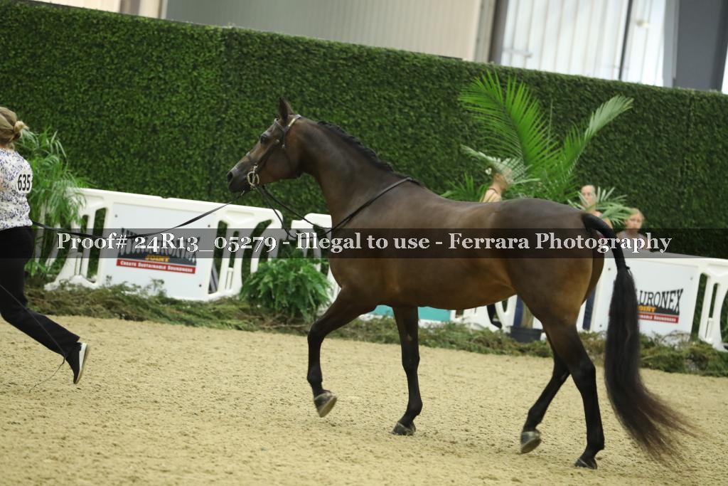 Proof 24R13_05279