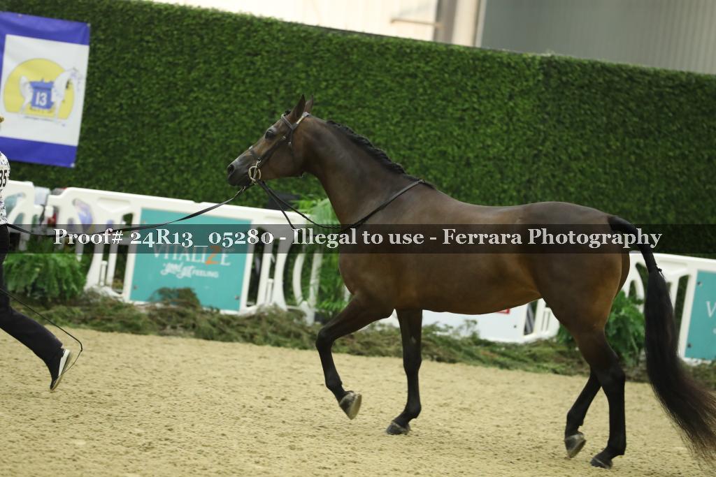 Proof 24R13_05280