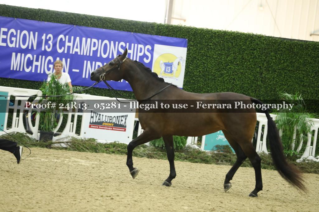 Proof 24R13_05281