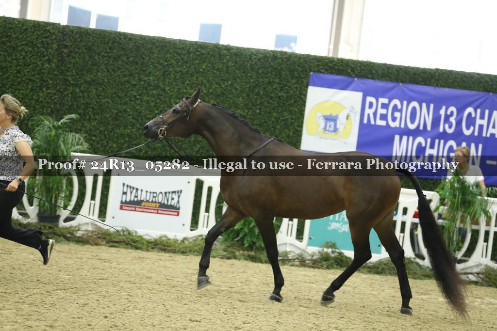 Proof 24R13_05282