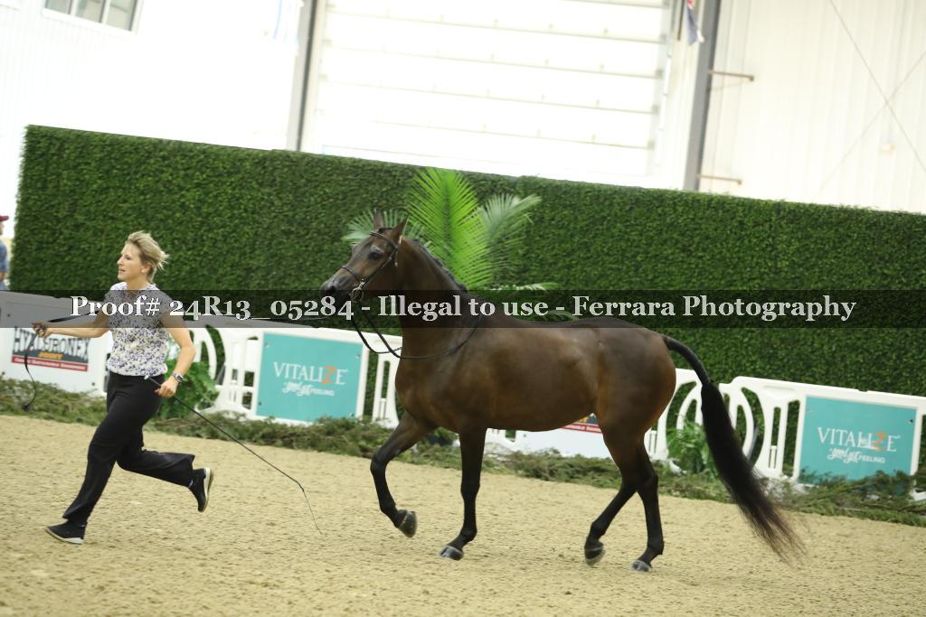 Proof 24R13_05284