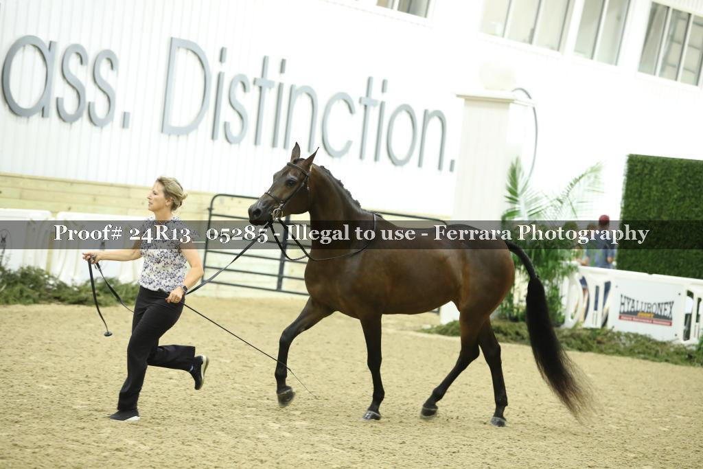 Proof 24R13_05285