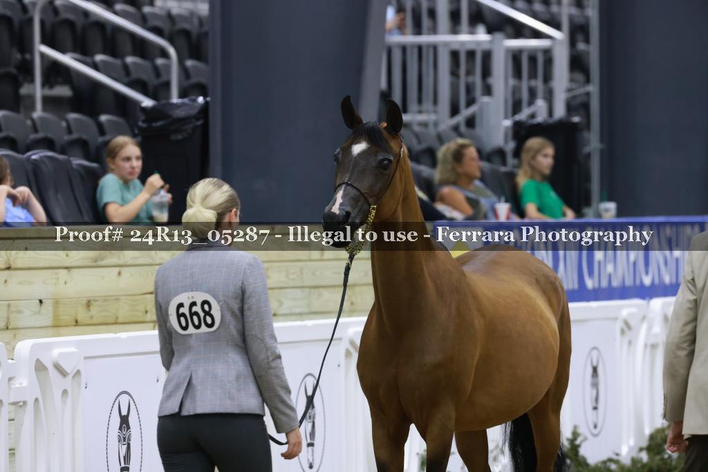 Proof 24R13_05287