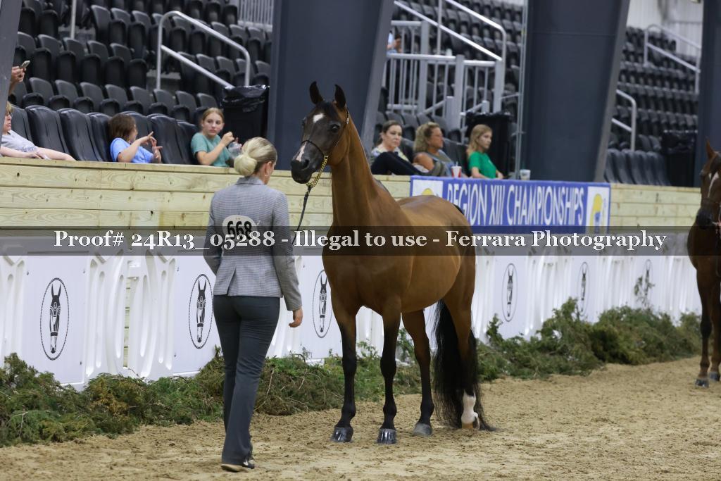 Proof 24R13_05288