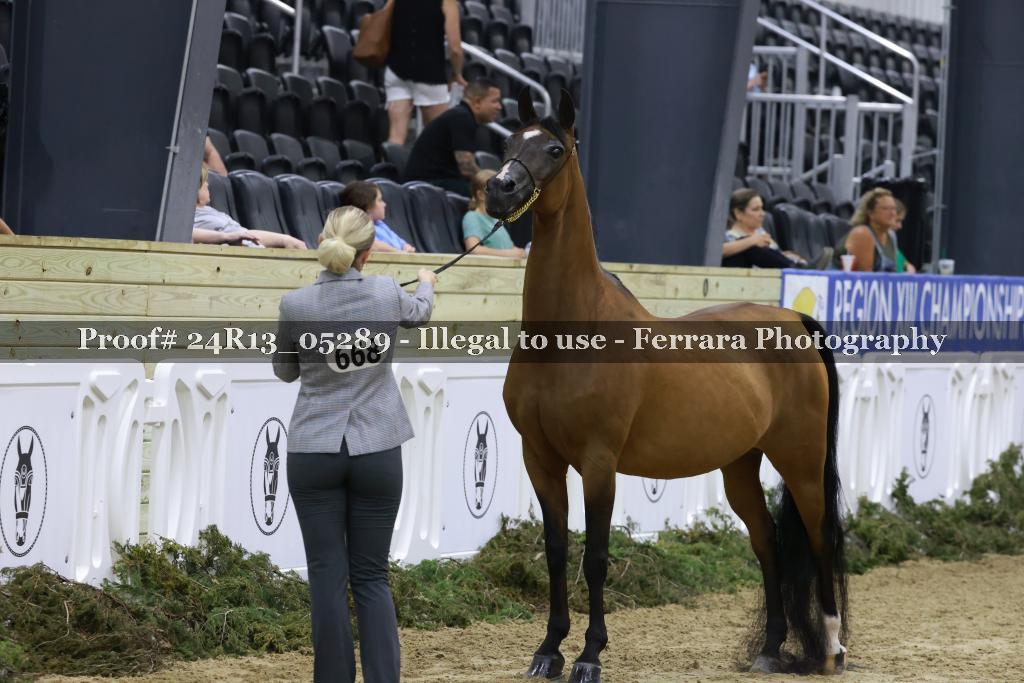 Proof 24R13_05289