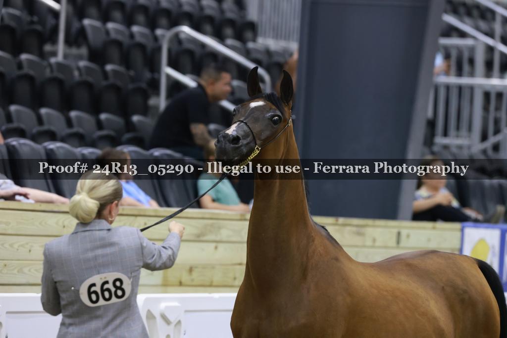 Proof 24R13_05290