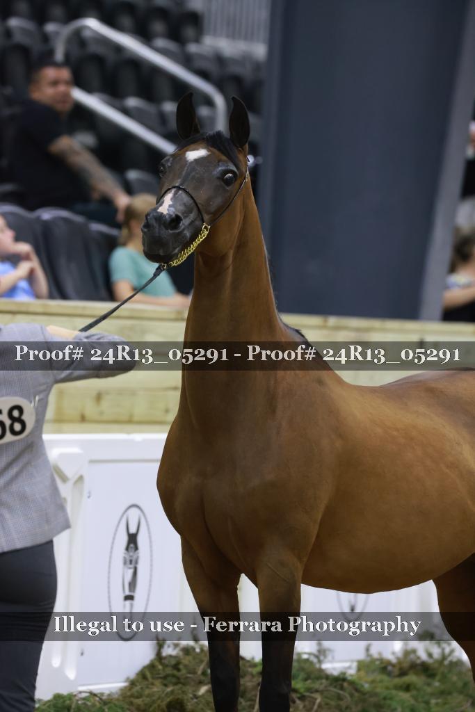 Proof 24R13_05291