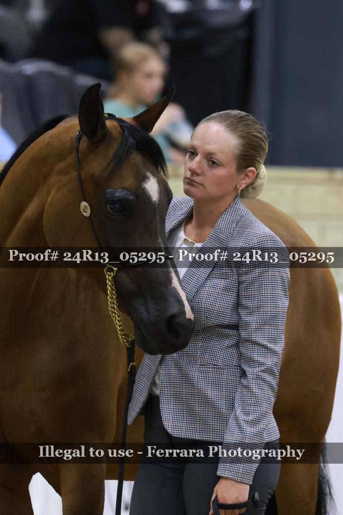 Proof 24R13_05295