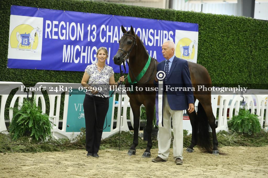 Proof 24R13_05299