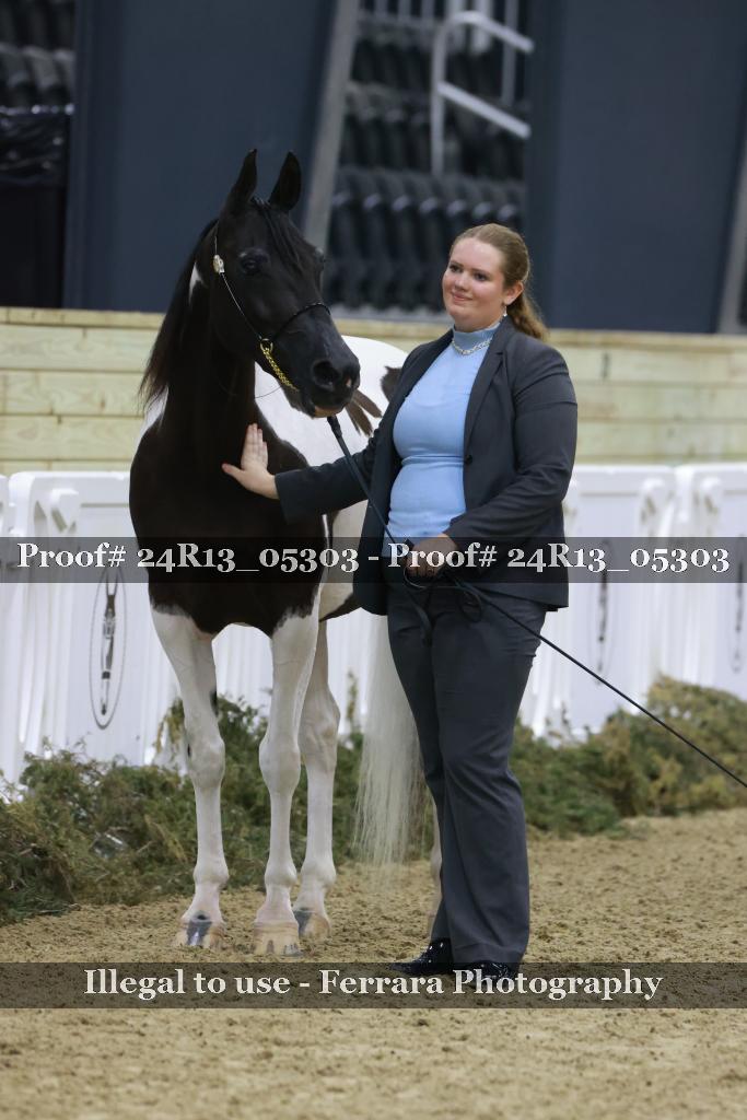 Proof 24R13_05303