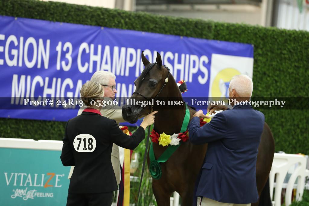 Proof 24R13_05306