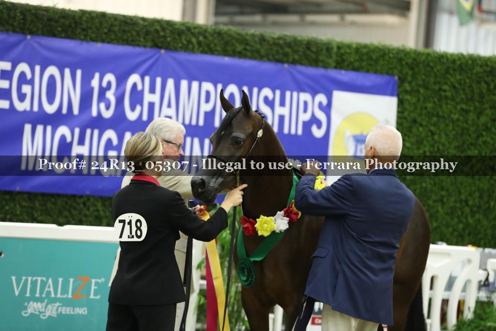 Proof 24R13_05307
