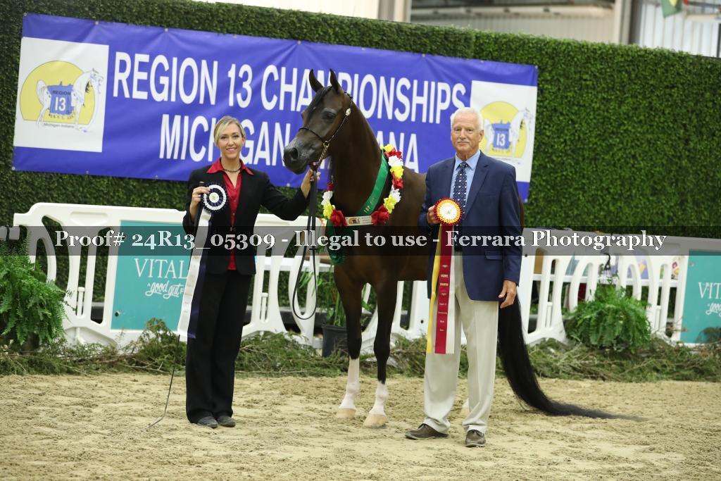 Proof 24R13_05309