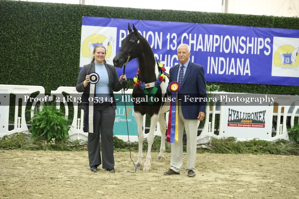 Proof 24R13_05314