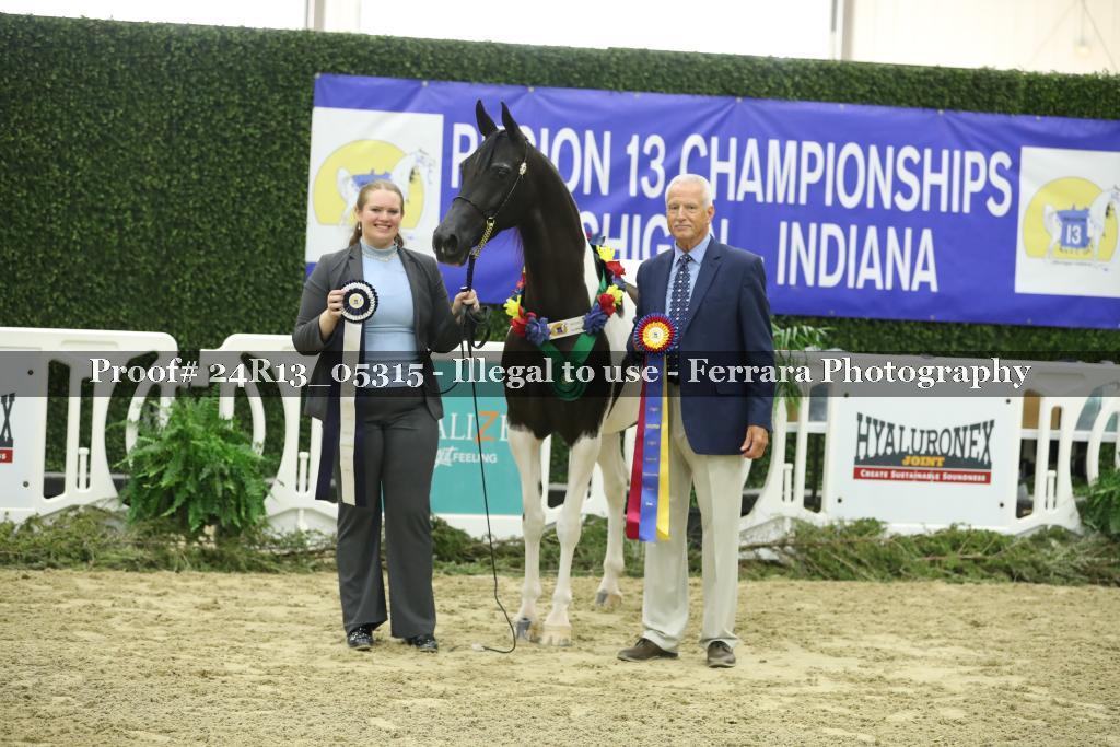 Proof 24R13_05315