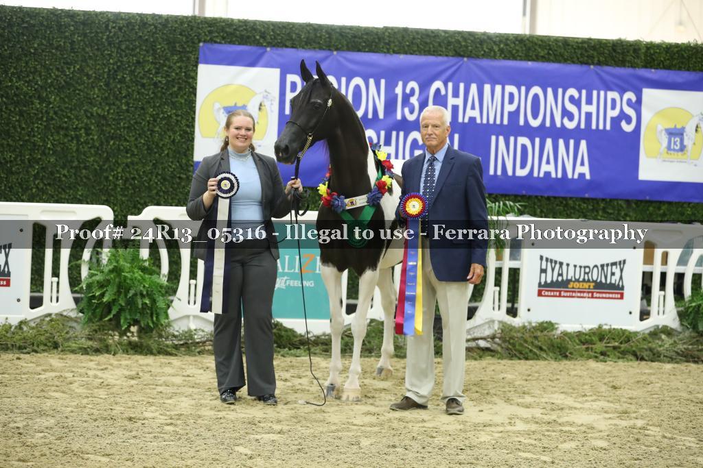 Proof 24R13_05316