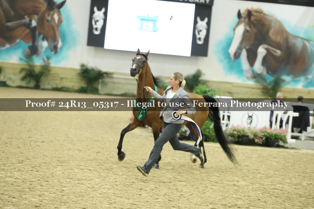 Proof 24R13_05317