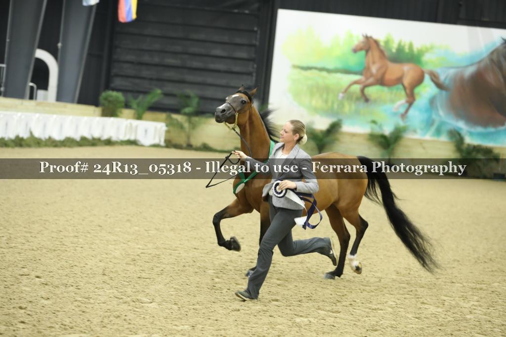 Proof 24R13_05318