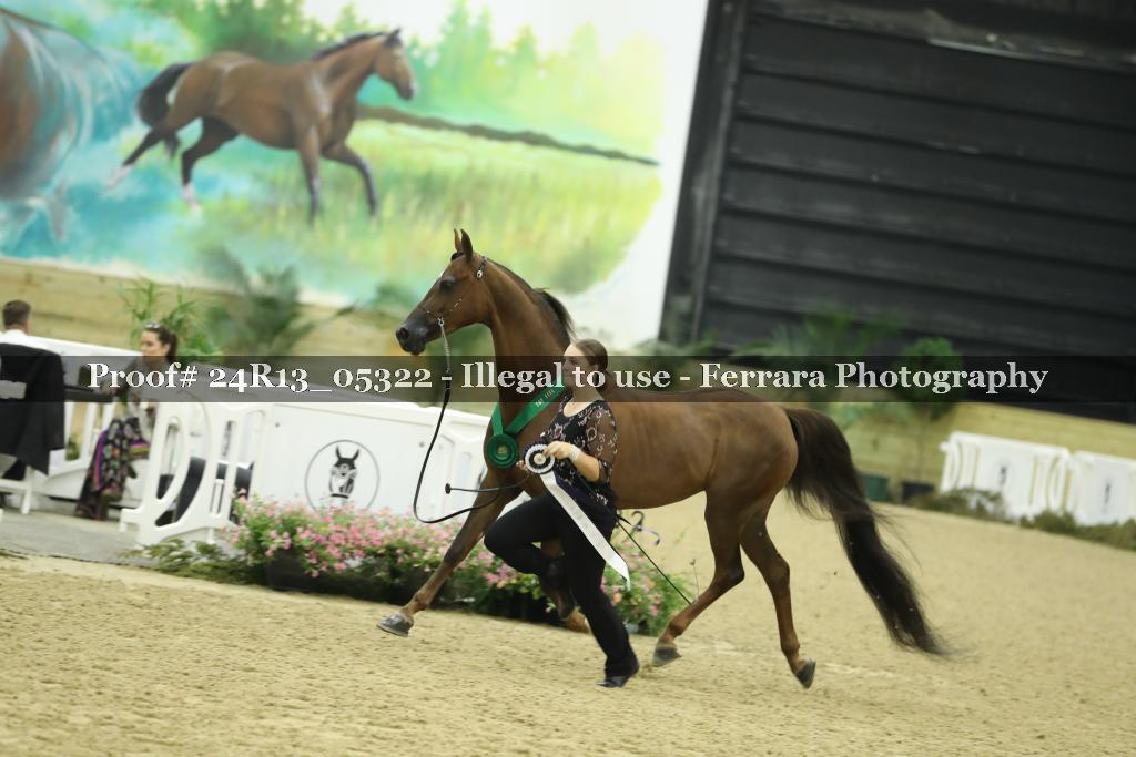 Proof 24R13_05322