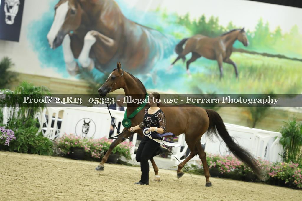 Proof 24R13_05323