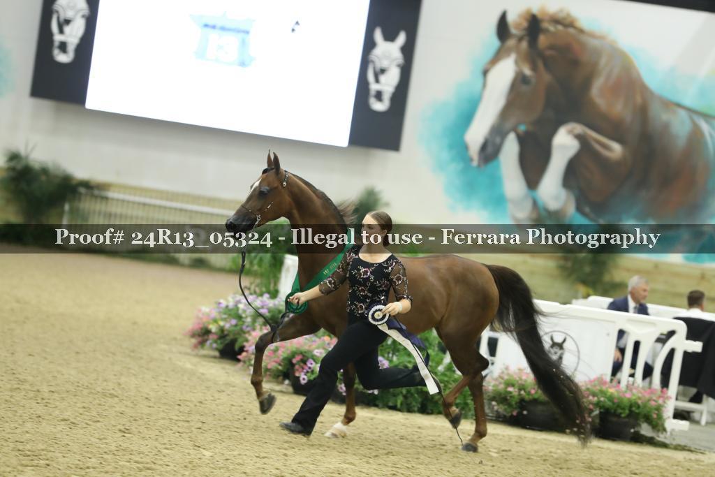 Proof 24R13_05324