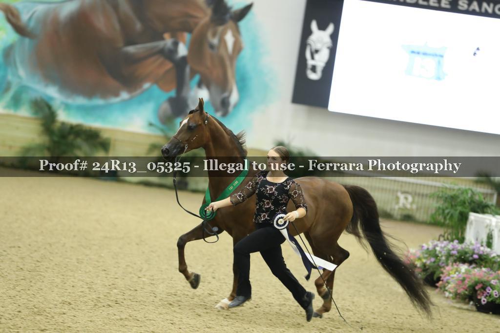 Proof 24R13_05325