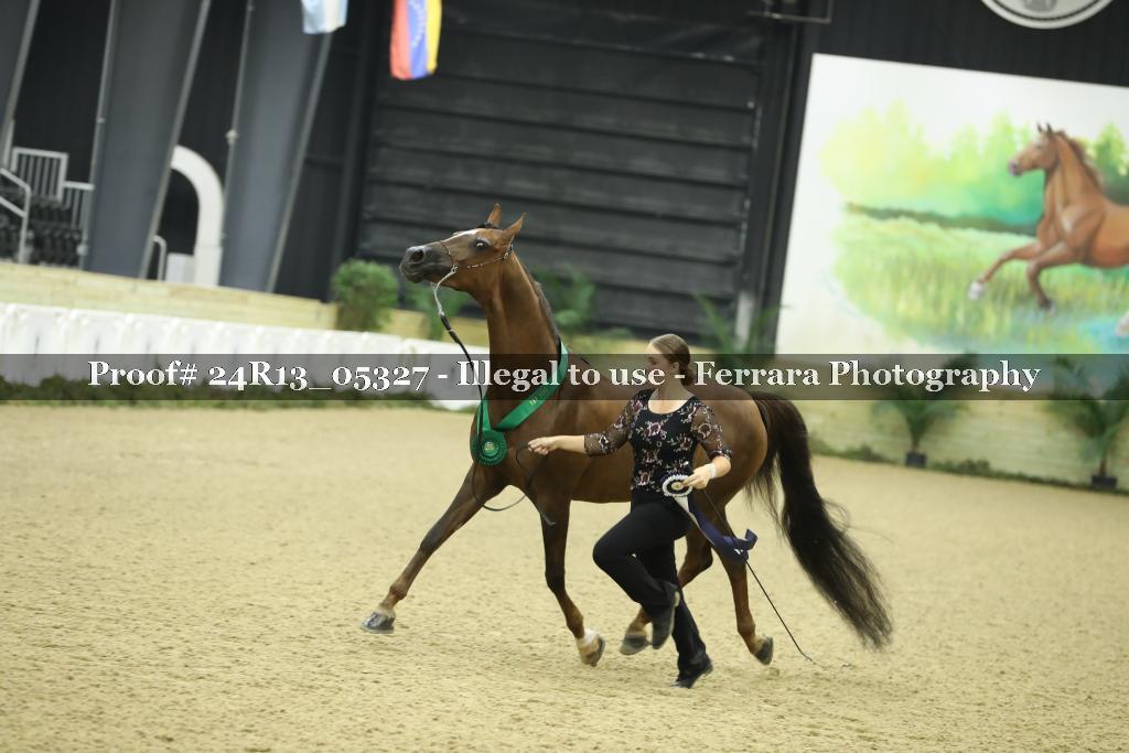Proof 24R13_05327