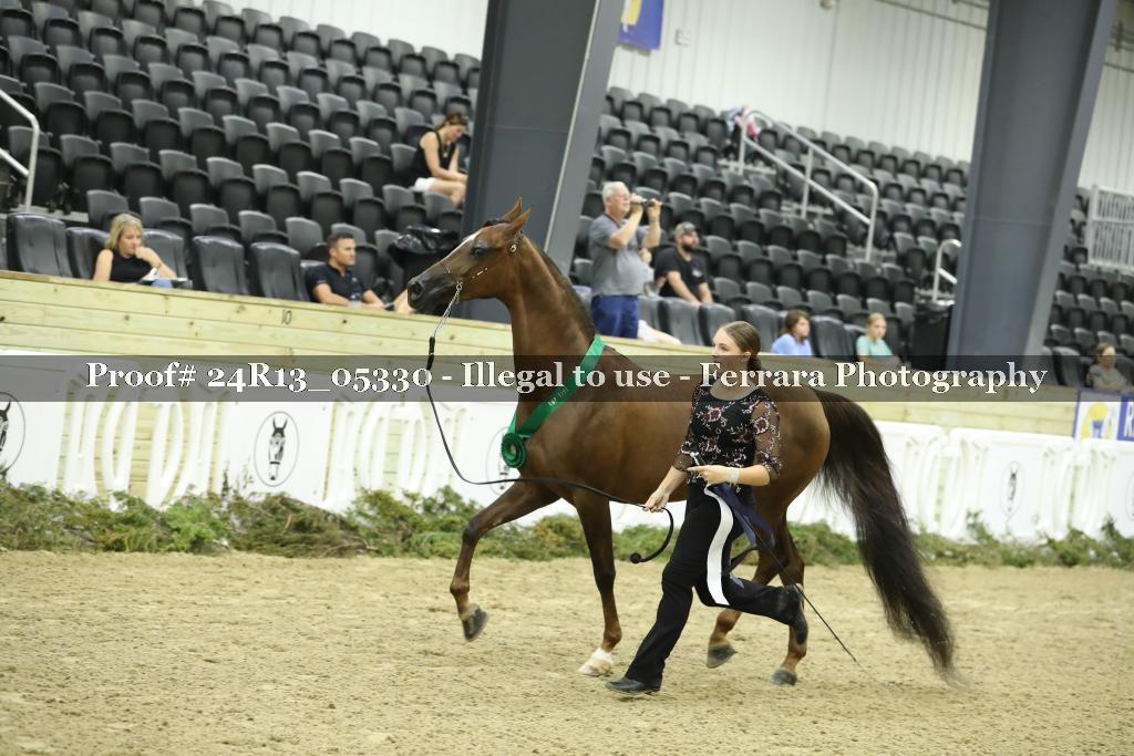 Proof 24R13_05330