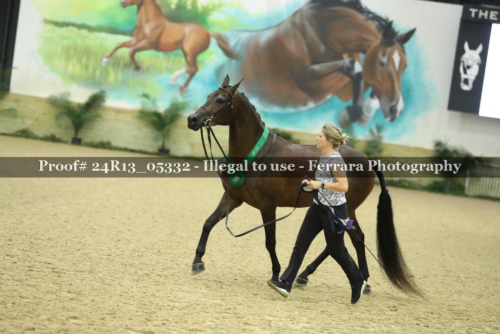 Proof 24R13_05332
