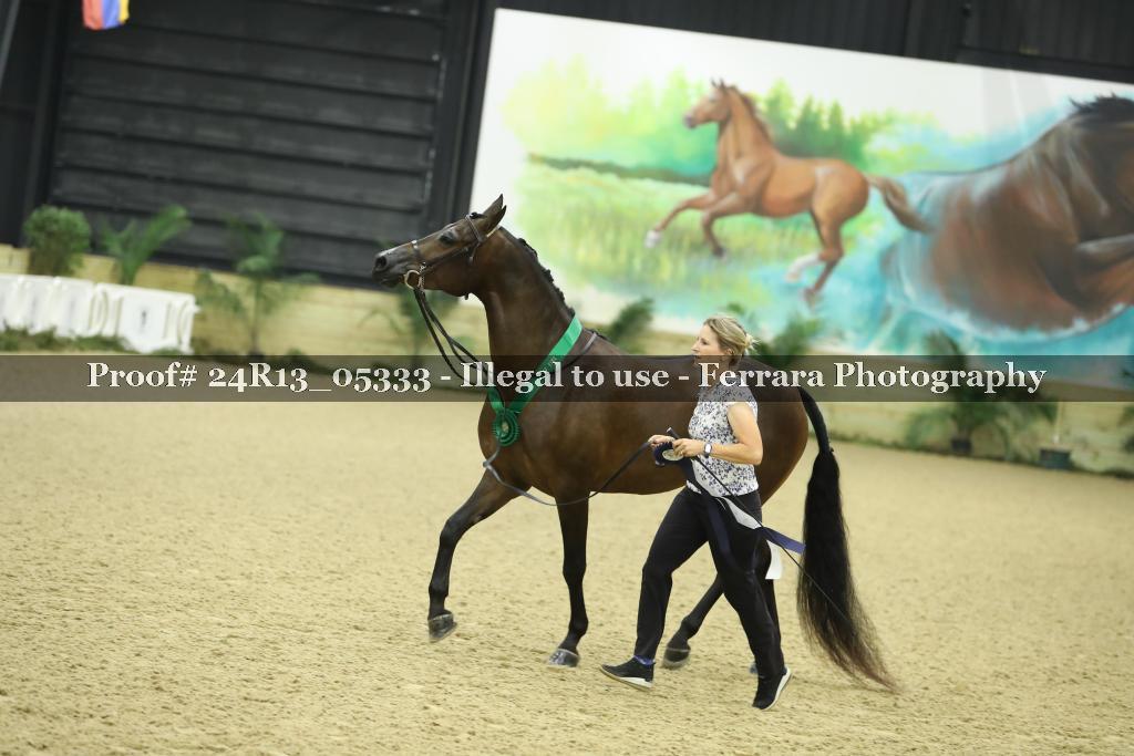 Proof 24R13_05333