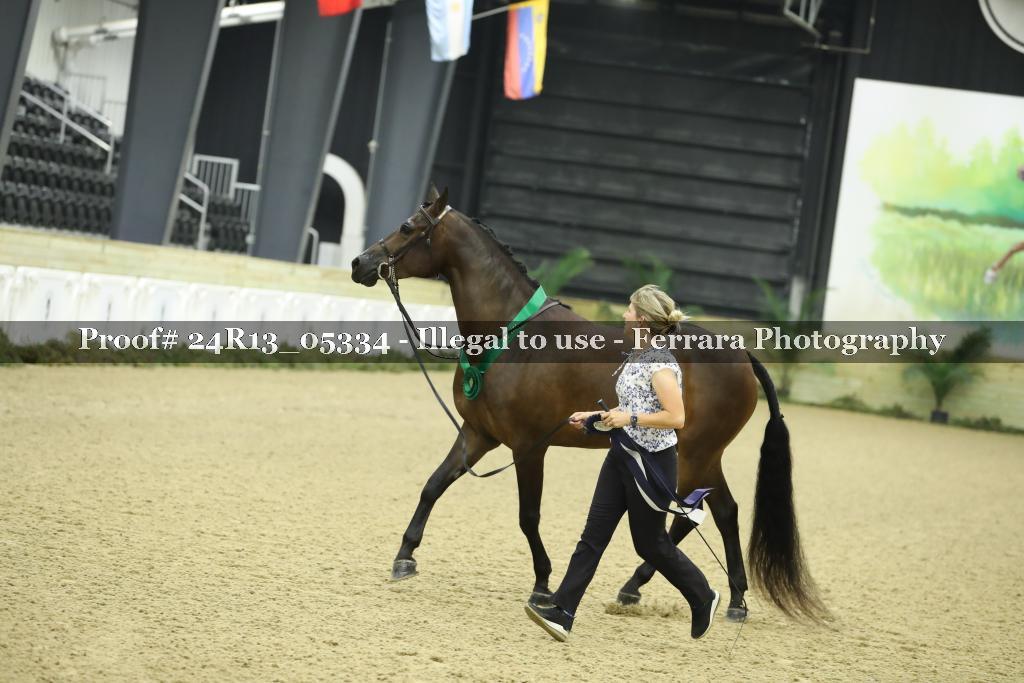 Proof 24R13_05334