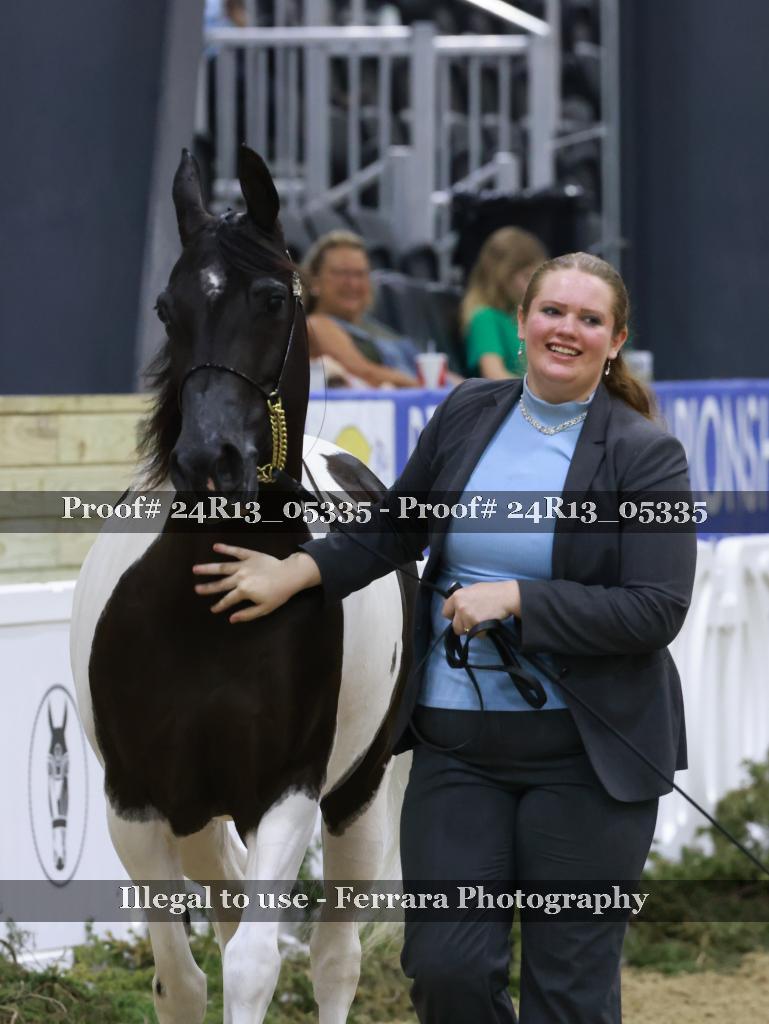 Proof 24R13_05335