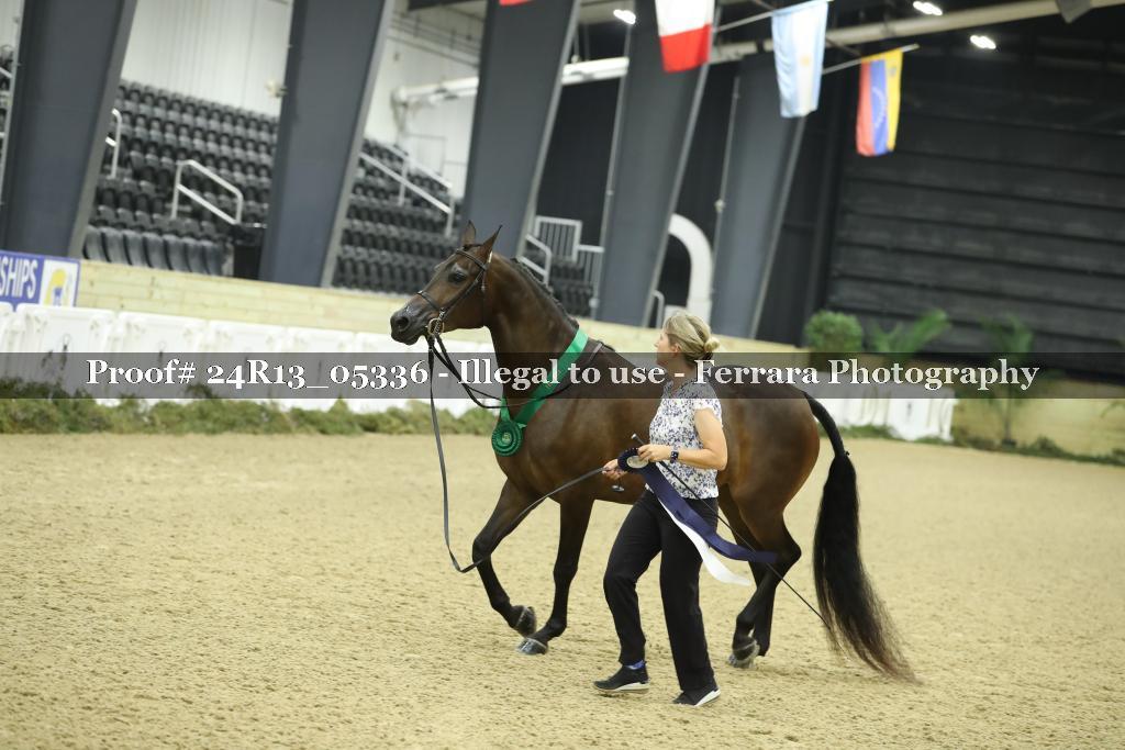 Proof 24R13_05336