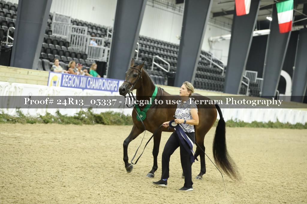 Proof 24R13_05337